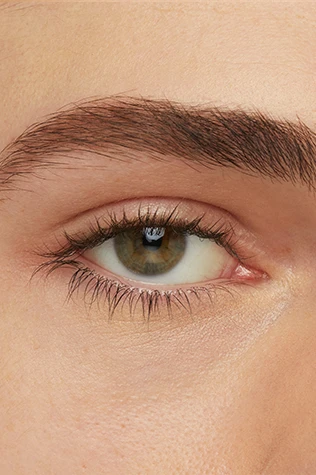 eye model