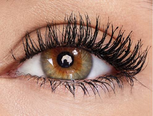 Eyes gambar buat Article 256